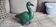 Grand canard vintage en céramique