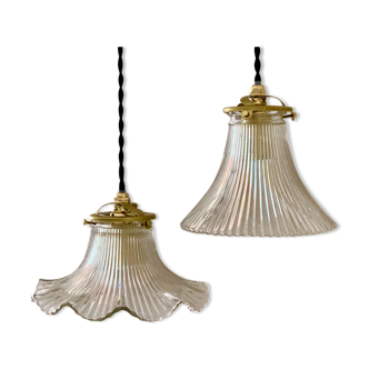 Duo lamps Holophane floral style