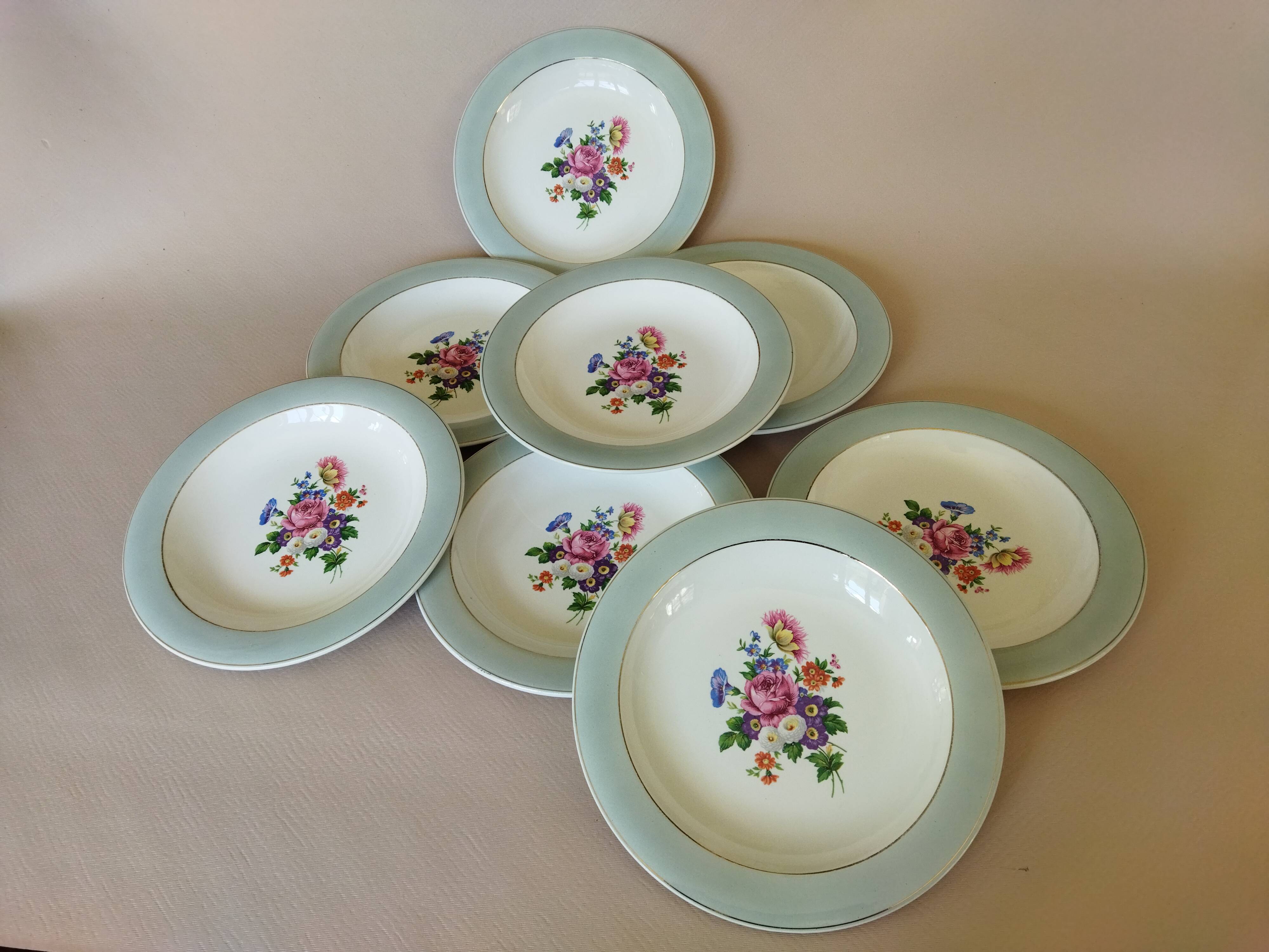 8 semi-deep plates Salins Opaceline 702