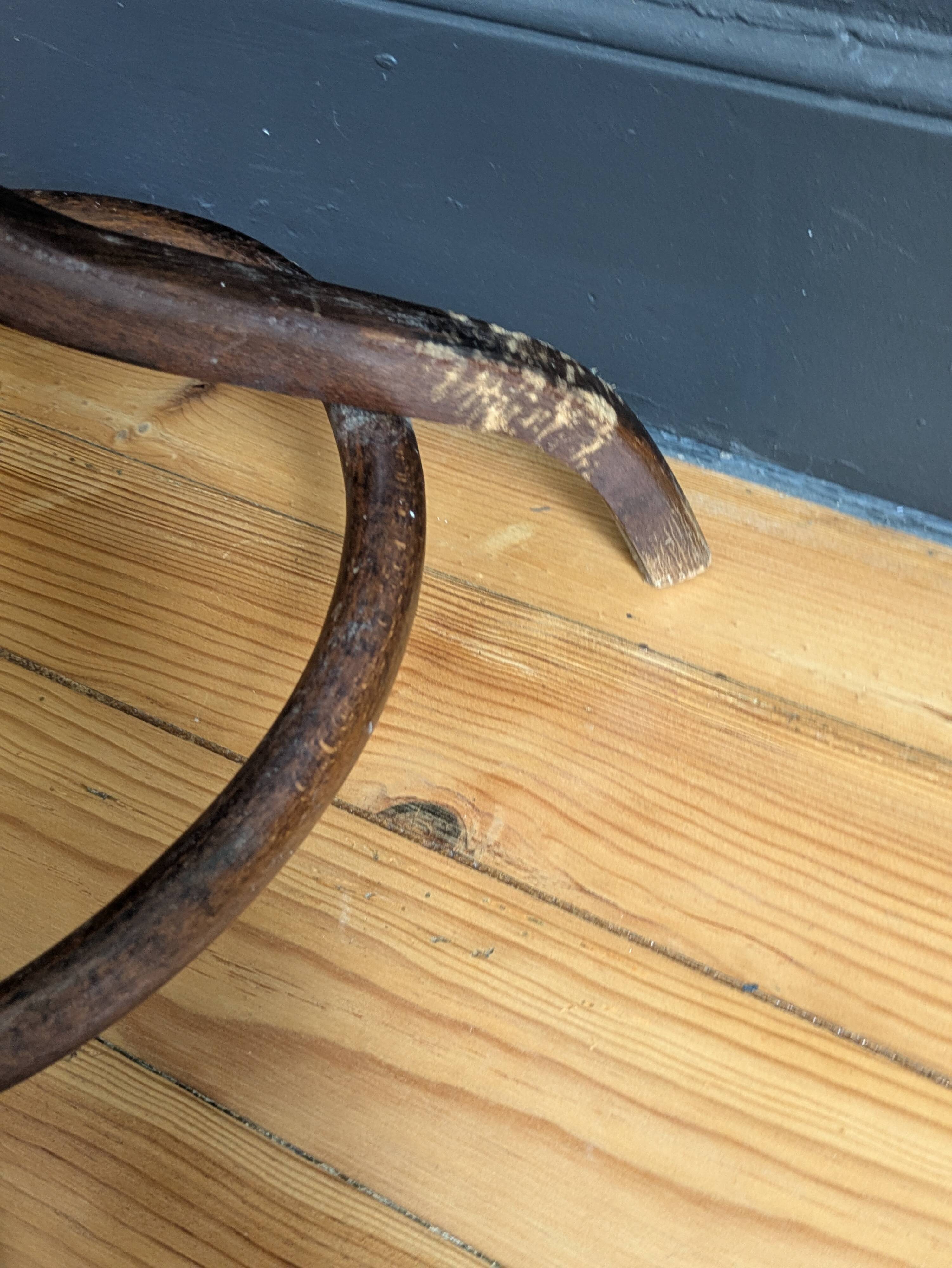 Parrot coat rack for a child's room attributed to Thonet.