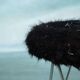 Hairpin stool in 1970s space style, fluffy stool