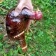 Retro zoomorphic terrine turkey