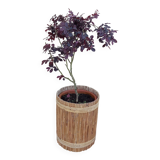 cache pot vintage en rotin année 50