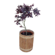 vintage rattan planter from the 50s