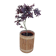 cache pot vintage en rotin année 50