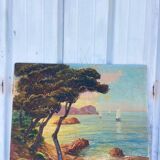 Still life of a seascape