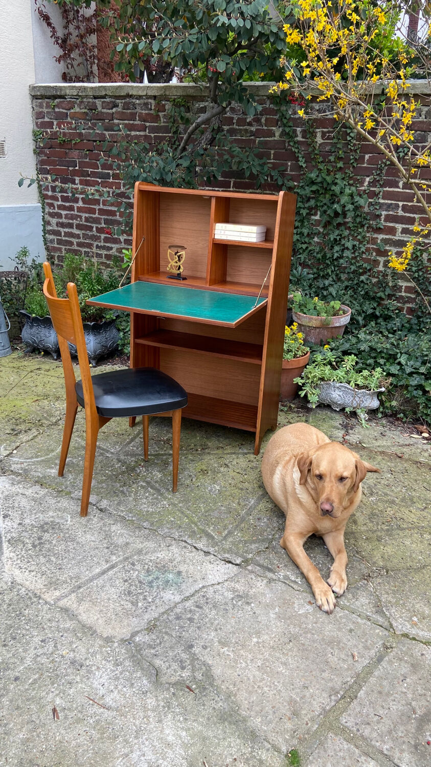 Vintage Secretary 1950 fin profile