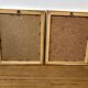 Lot de 2 herbiers dorés