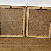 Set of 2 golden herbariums