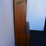 Scandinavian teak  bookcase