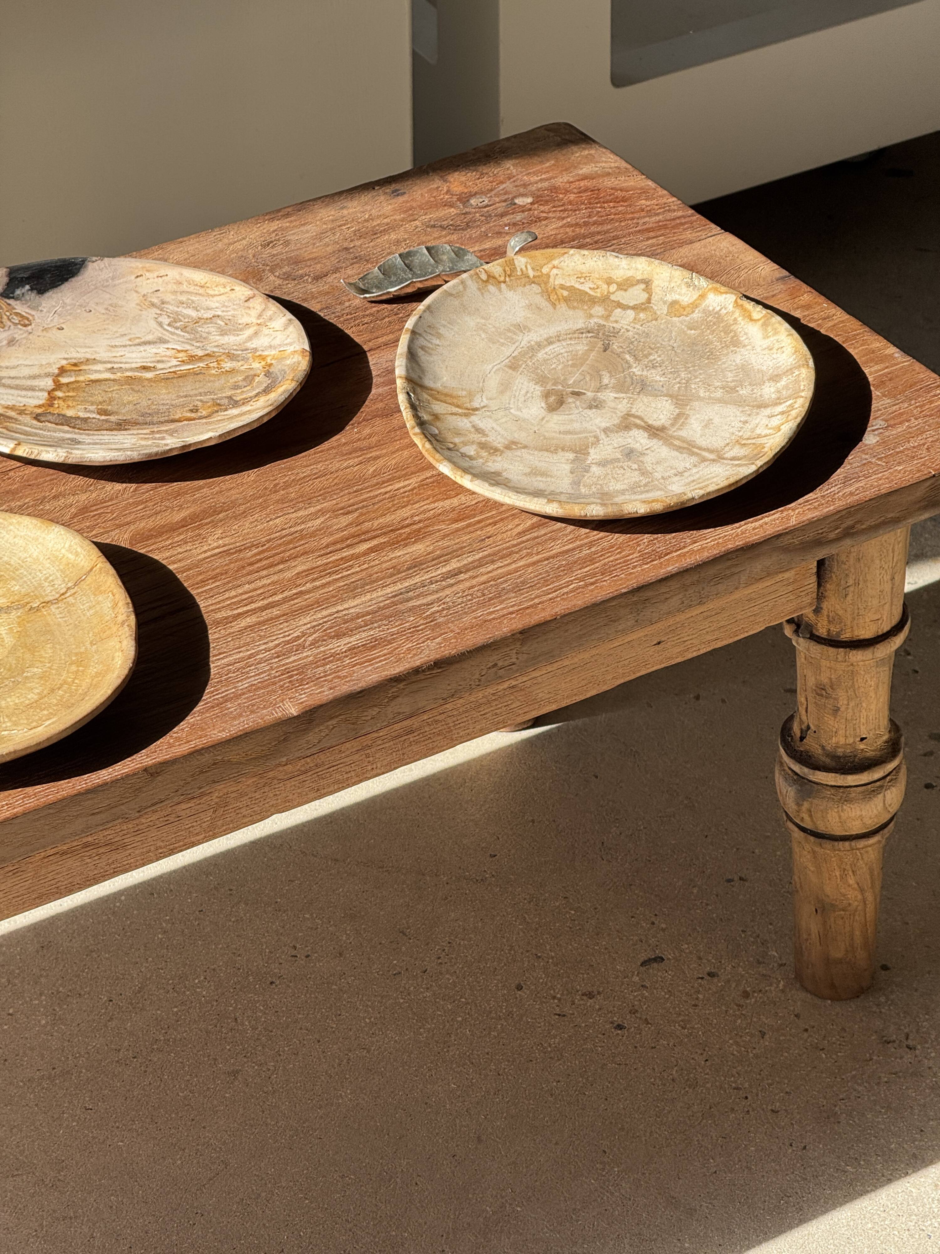 Small pocket tray or circular beige petrified wood dish D22.5-20 -3310