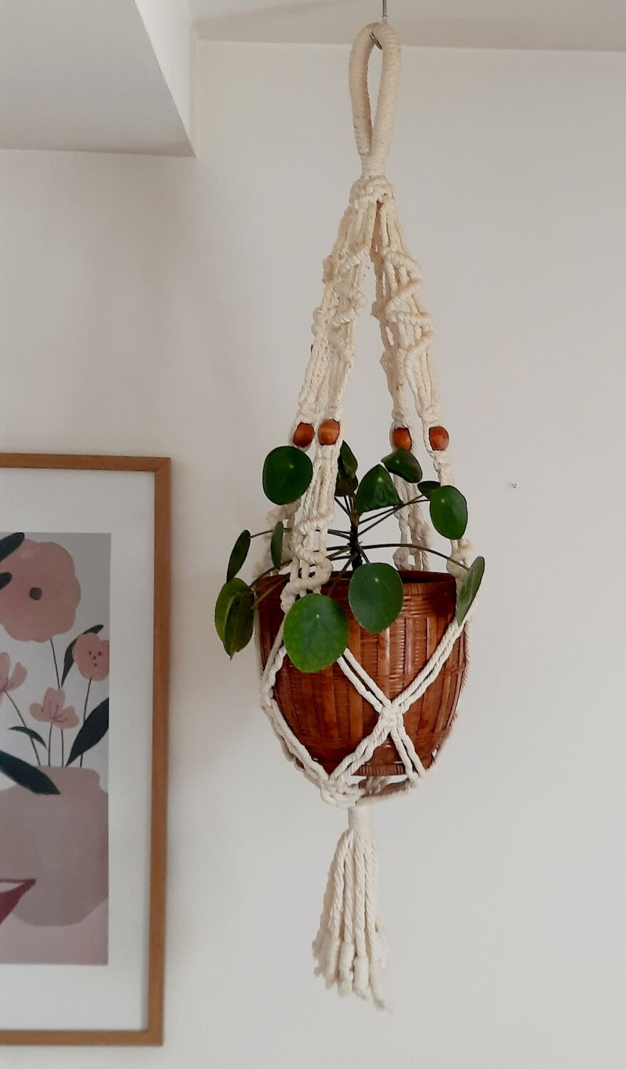 Suspension in macrame plant holder