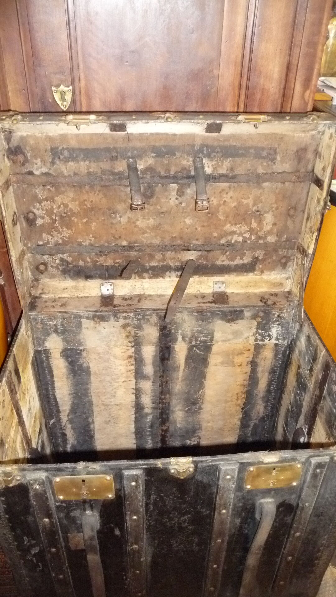 Pasquier Paris cabin trunk