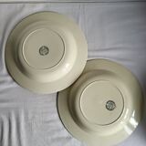 11 Deep Plates Ironstone Salins Cambacérès Decor