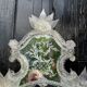 Venetian mirror in colorless Murano glass, circa 1940