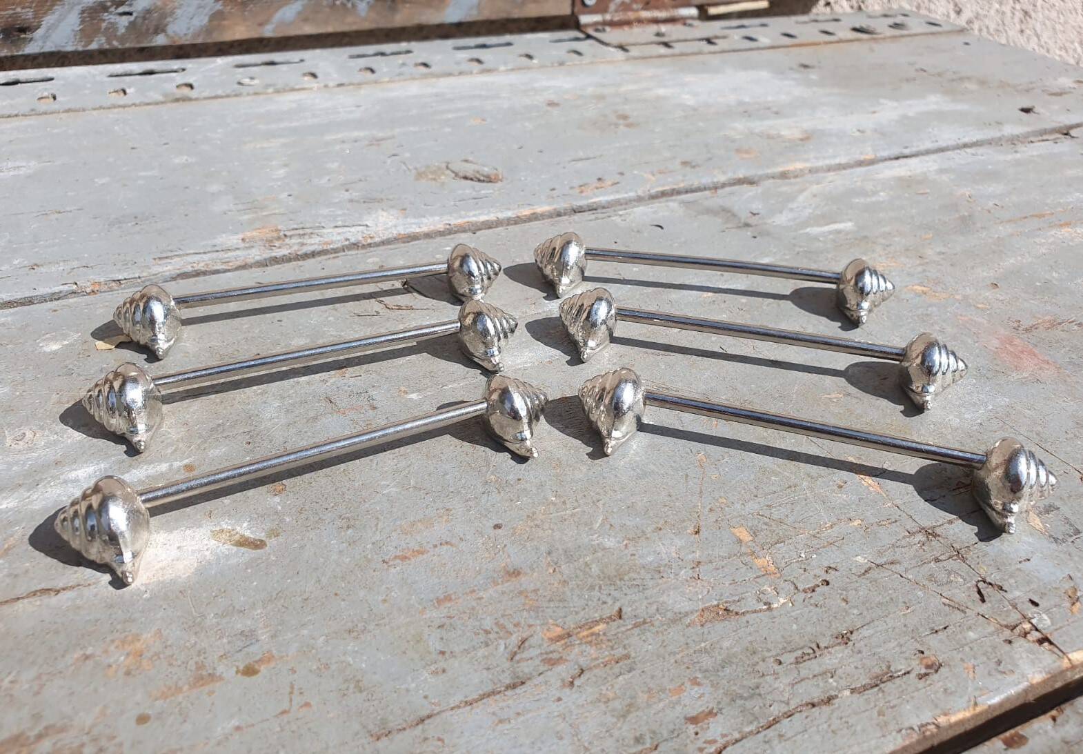 expensive silver metal snail door