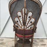 Fauteuil Emmanuelle Peacock