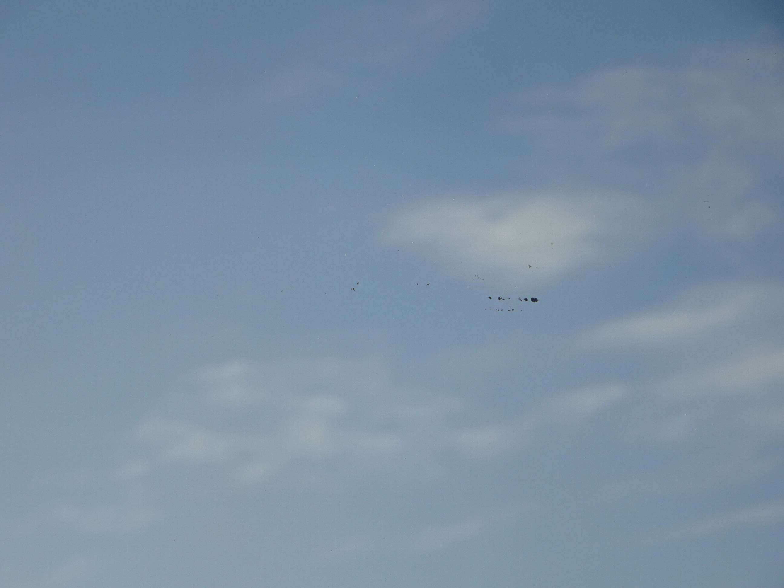 Antique wooden mirror with gilded stucco 65x83cm