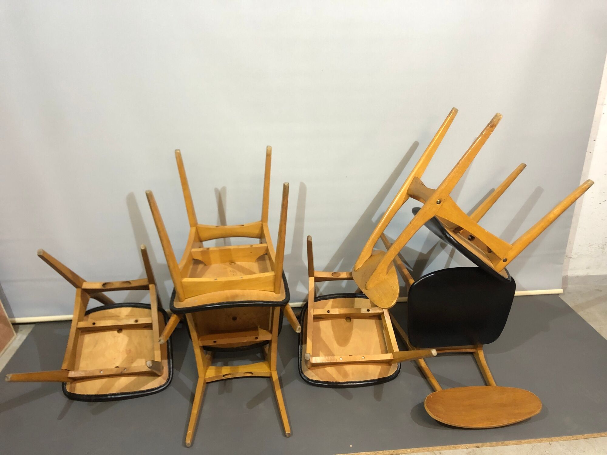 12 stella 1950 chairs in signed curved wood