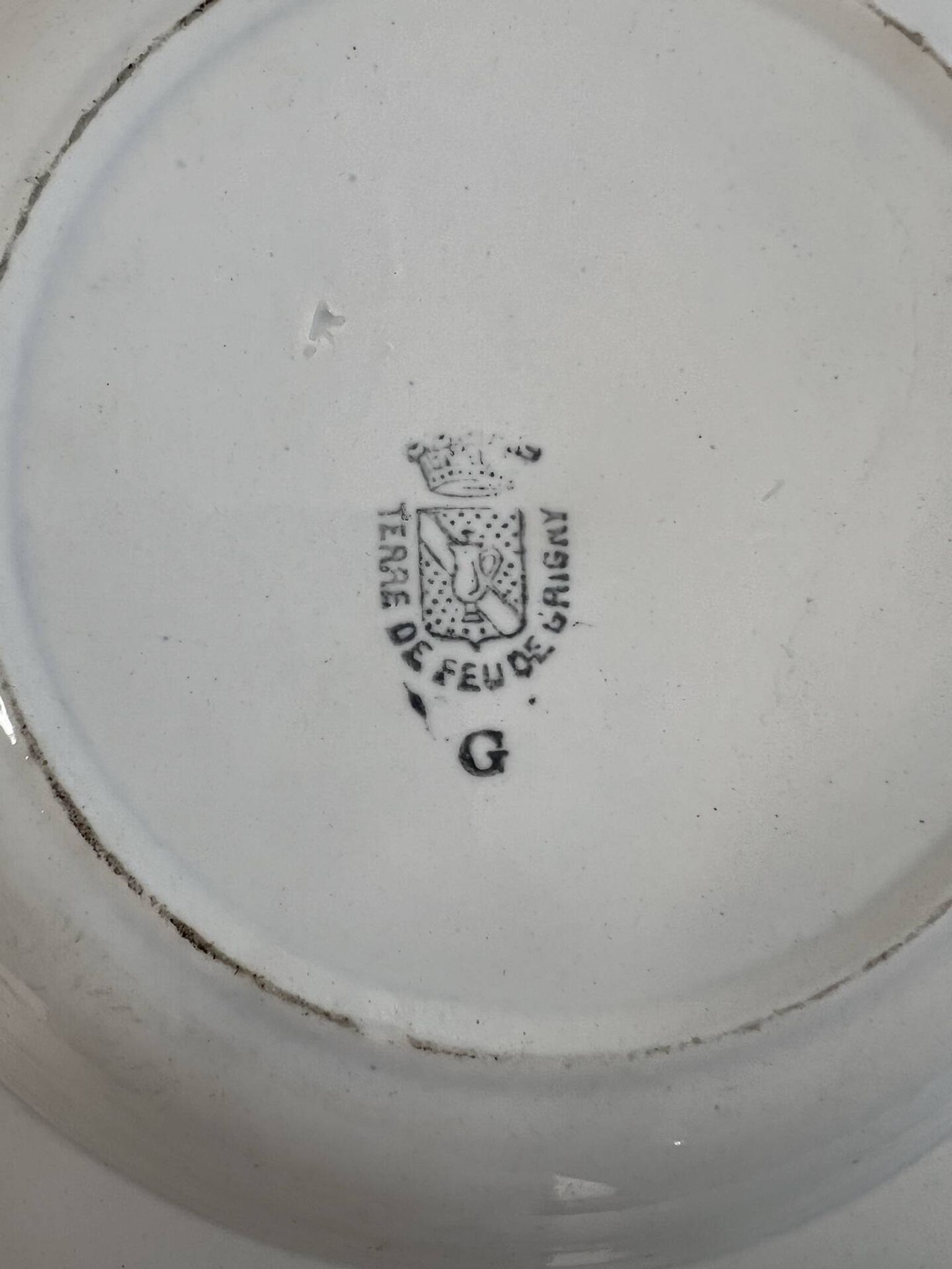 Hollow plate in ironstone from Terre de Feu of Grigny with floral decoration bl