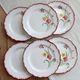 6 vintage ironstone dinner plates Salins model Pierrette