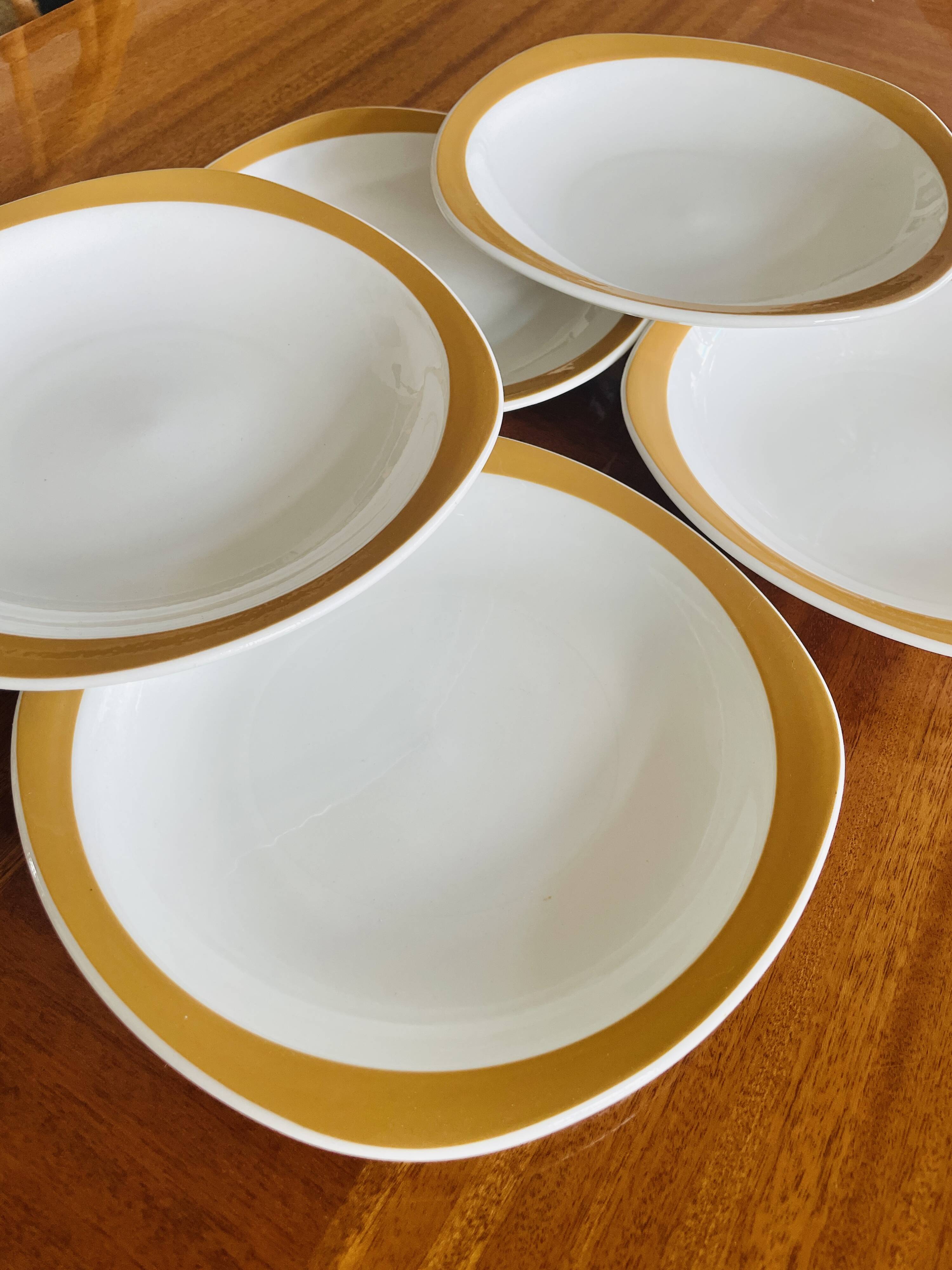 6 vintage deep plates Sarreguemines Pyroblan