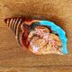 Cendrier barbotine en forme de coquillage Vallauris vintage