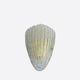 Vintage shell Murano wall lamp