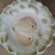 5 dessert plates barbotine Sarreguemines
