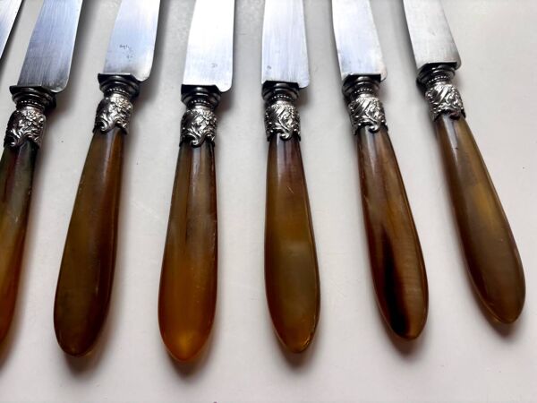 18 Wiskemann table knifes in horn