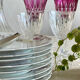 8 Haviland Limoges plates from the 19th century.
