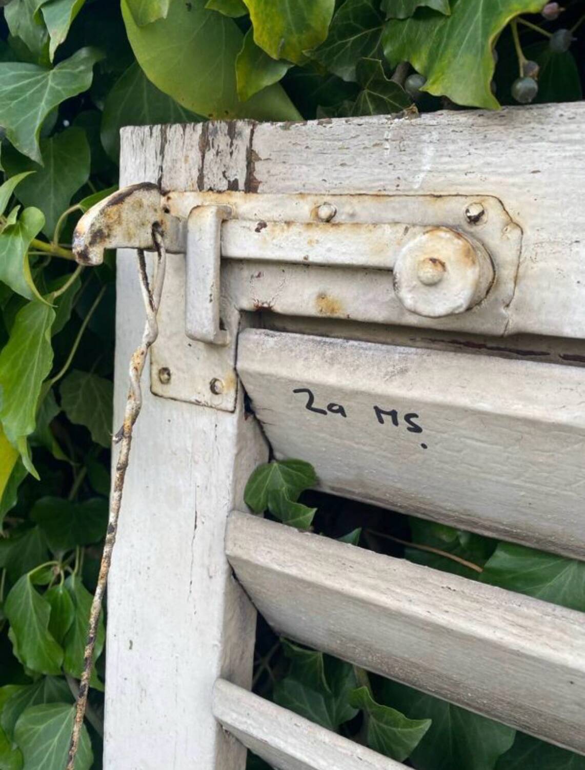 Old wooden shutter blinds