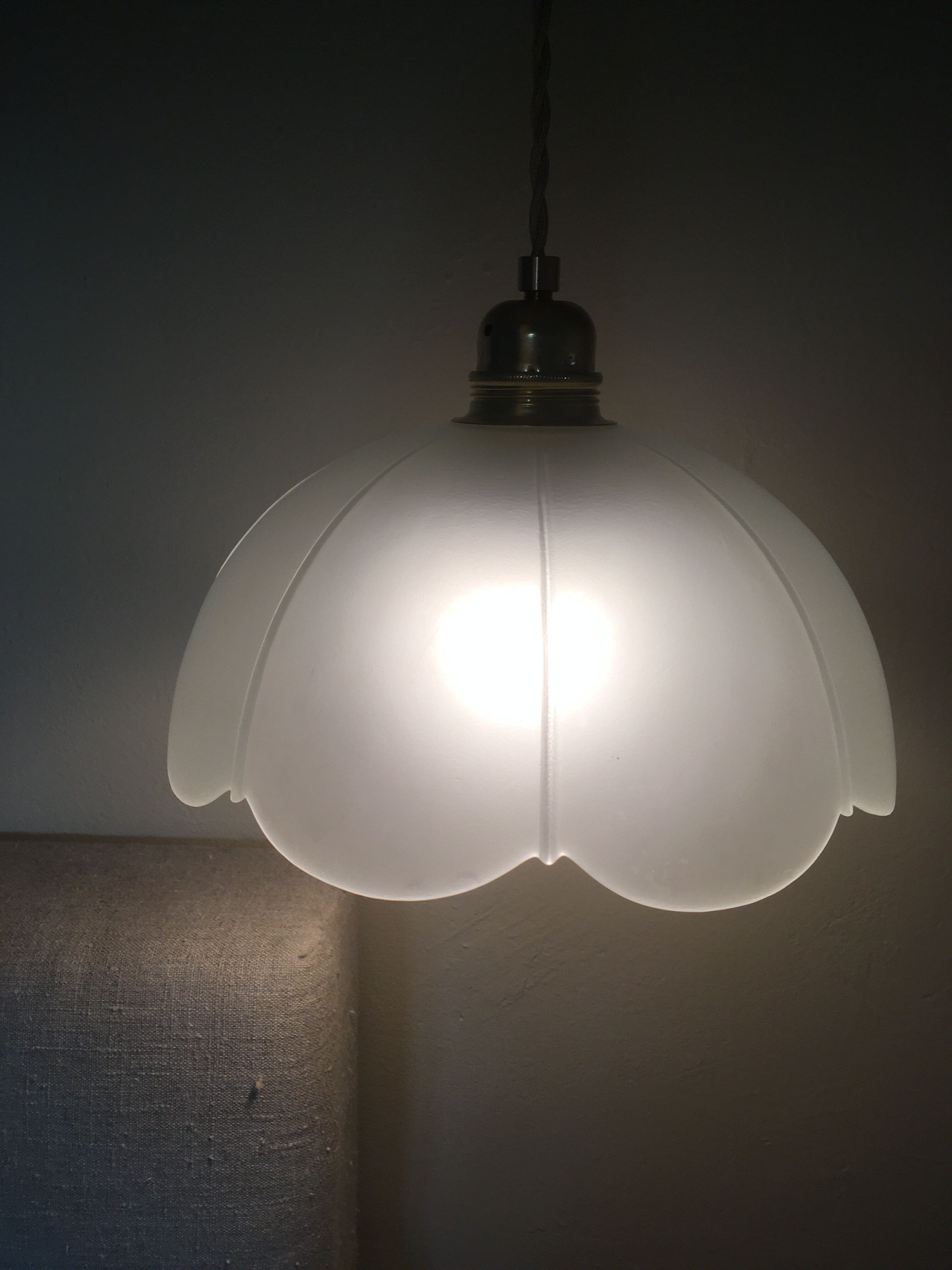 Vintage flower pendant lamp in frosted glass