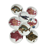 8 Plates flat fish painted handmade art art Proceram