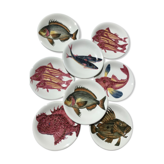 8 Plates flat fish painted handmade art art Proceram