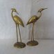 Pair of waders brass birds