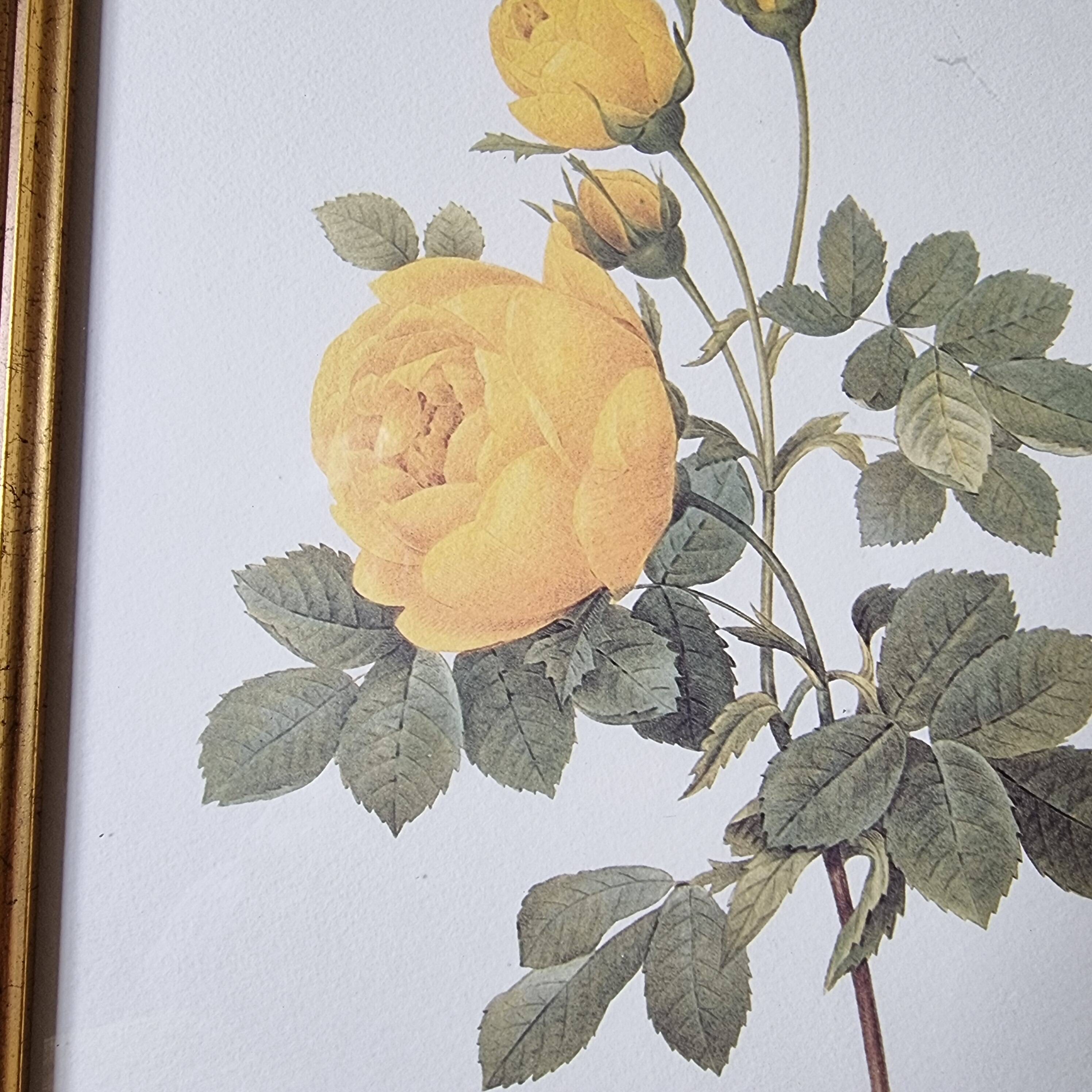 2 paintings with period lithographed flowers and gilded wooden frame.
