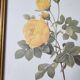 2 paintings with period lithographed flowers and gilded wooden frame.