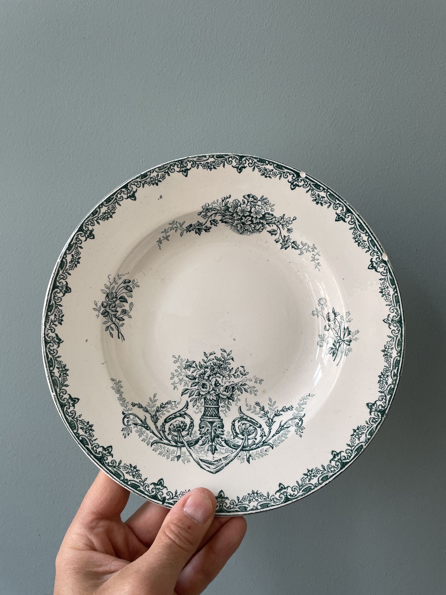 Set of 7 mismatched hollow plates Terre de Fer XIXth