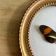Cadre papillon naturalisé verre bombé