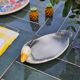 Plate barbotine duck / goose (French pottery)