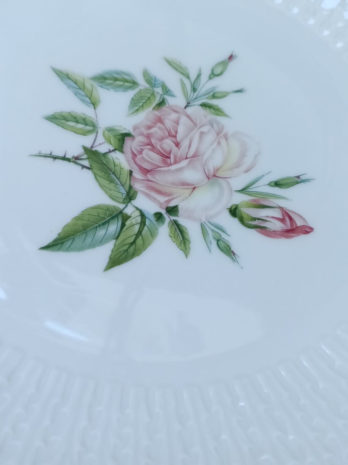 Vintage plates, porcelain, roses