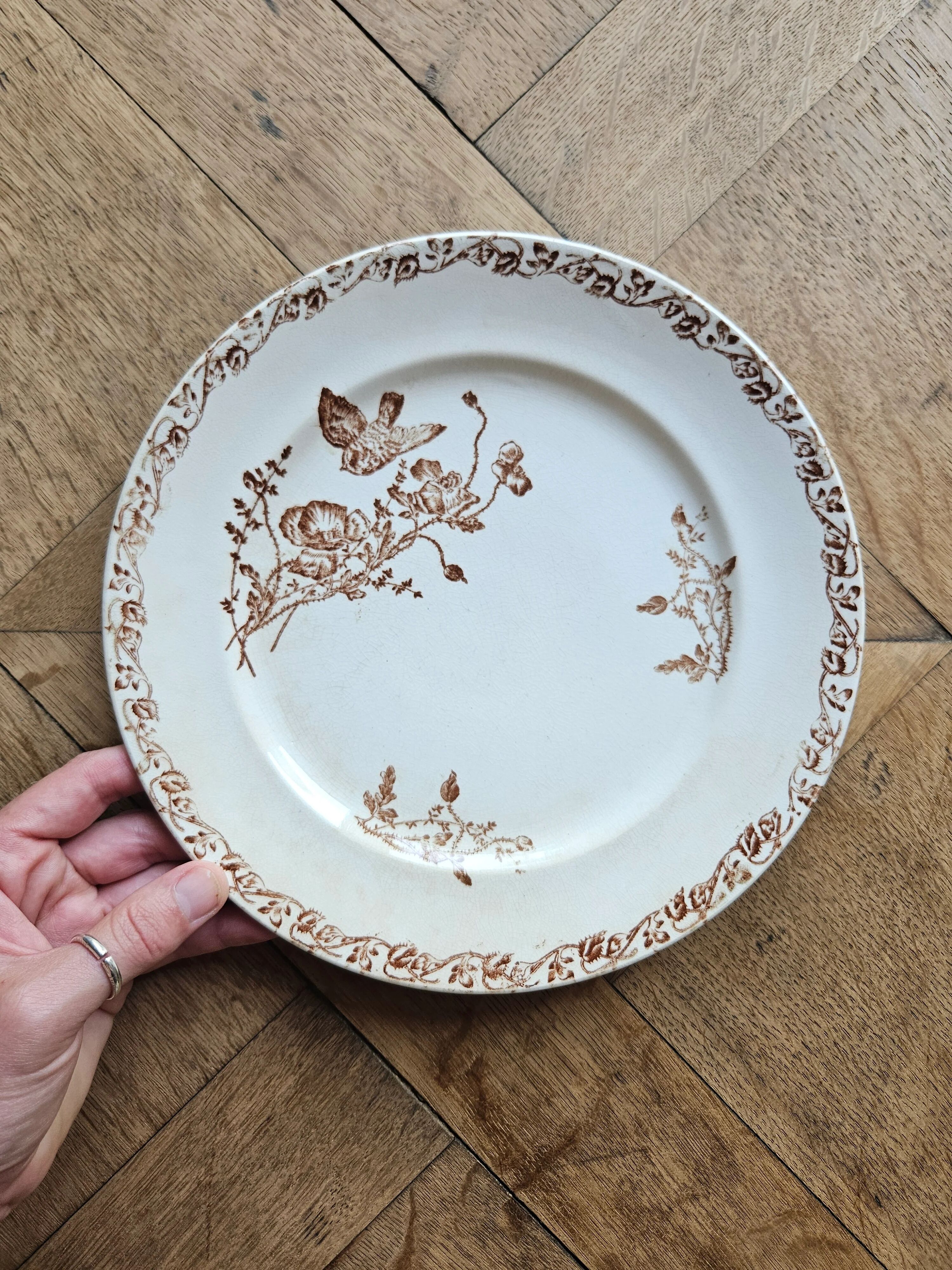 Flat plates, ironstone, poppies