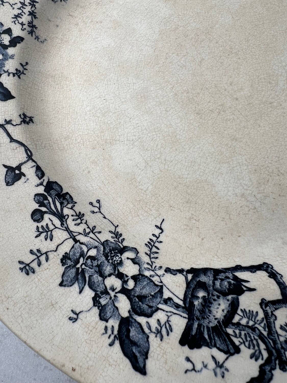 Large flat plate E. Bourgeois