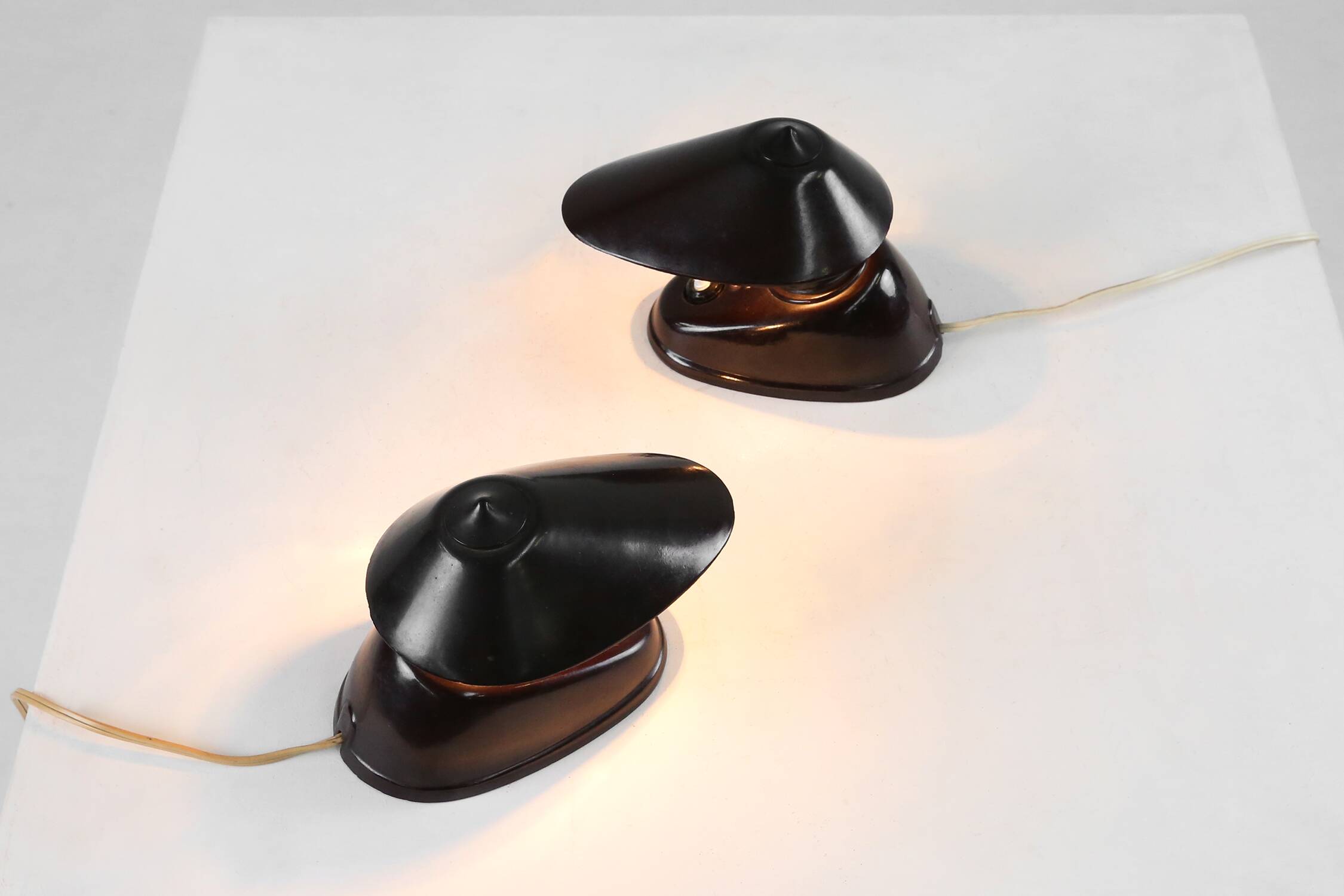 Brown Bakelite Lamps by Bauhaus for ESC Zukov 1930s