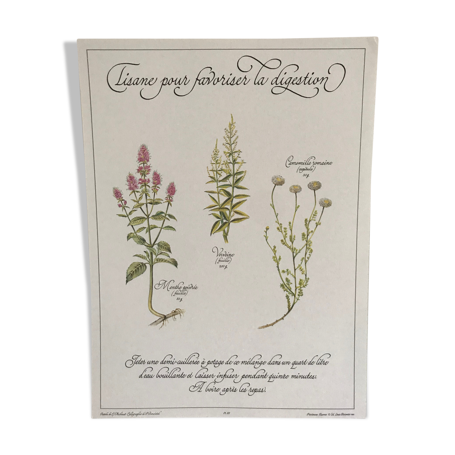 Planche botanique