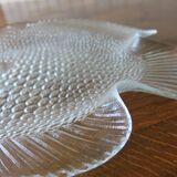 Very large glass fish dish from Arcoroc in very good condition