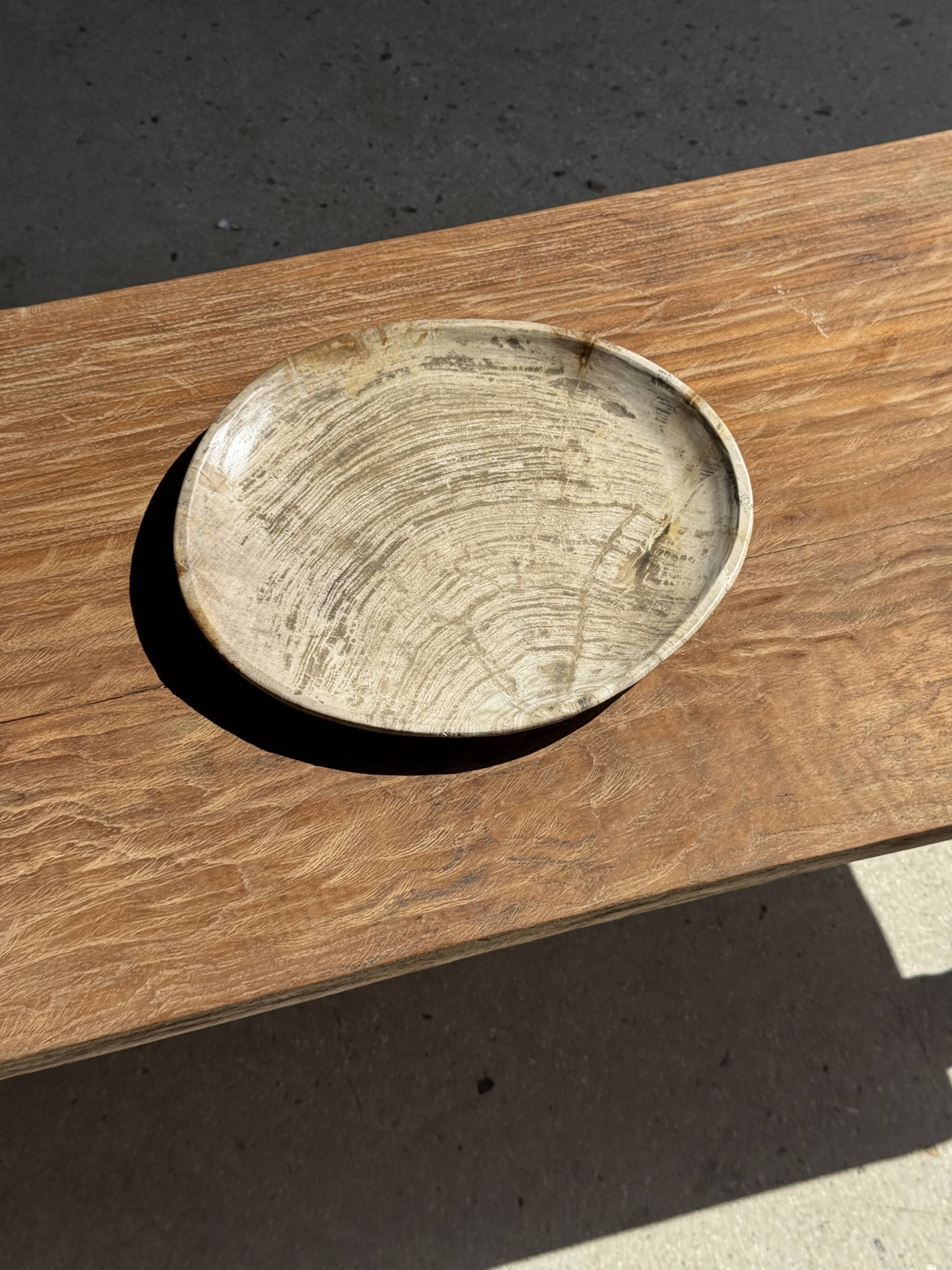 Petrified wood catchall or dish in light grey with rings D27x25 -3320