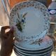 Set of 8 country-style dessert plates