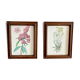 Pair of framed botanical posters